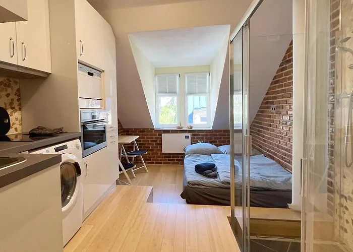 Apartment Vezicka U Vridla