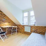 Vezicka U Vridla Apartment